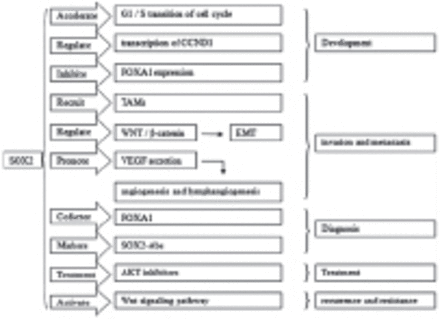 Figure1