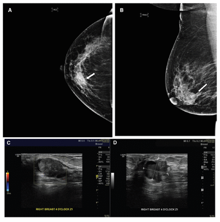 Appendix 2